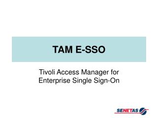 TAM E-SSO