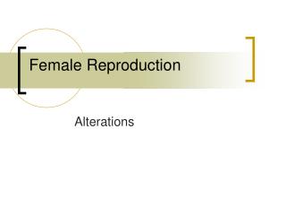 Female Reproduction