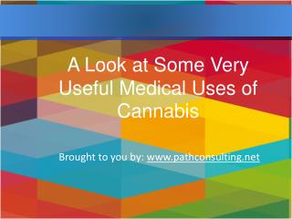 A Look at Some Very Useful Medical Uses of Cannabis