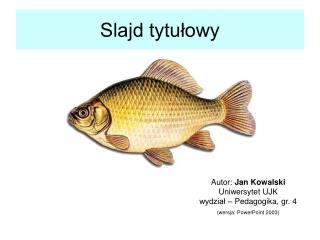 Slajd tytułowy