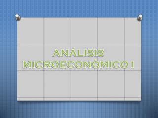 ANÁLISIS MICROECONÓMICO I