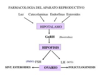 FARMACOLOGIA DEL APARATO REPRODUCTIVO