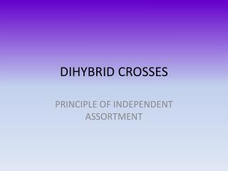 DIHYBRID CROSSES