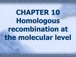 CHAPTER 10 Homologous recombination at the molecular level