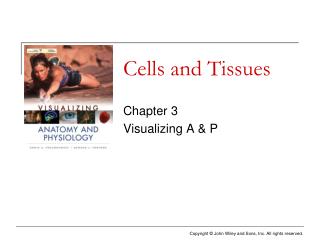 Cells and Tissues