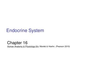 Endocrine System