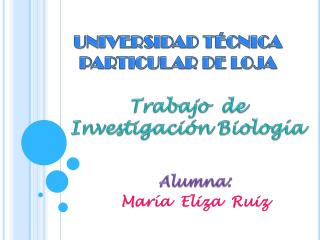 UNIVERSIDAD TÉCNICA PARTICULAR DE LOJA