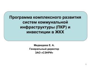 Медведева Е . А . Генеральный директор ЗАО «СЭНРИ»