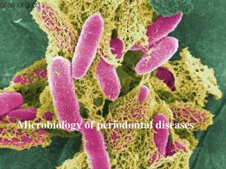 Microbiology of periodontal diseases