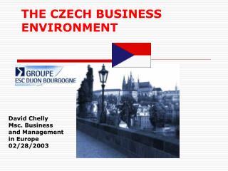 THE CZECH BUSINESS ENVIRONMENT