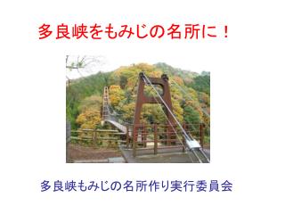 多良峡をもみじの名所に！