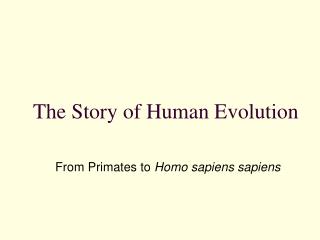 The Story of Human Evolution