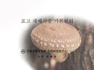 표고 재배기술 기본원리