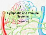 Lymphatic and Immune Systems