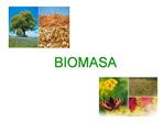 BIOMASA