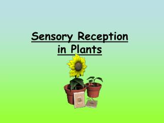 Sensory Reception in Plants