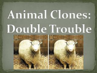 Animal Clones: Double Trouble