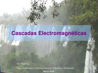 Cascadas Electromagnéticas