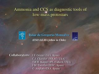 Ammonia and CCS as diagnostic tools of low-mass protostars