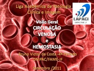 Visão Geral CIRCULAÇÃO VENOSA e HEMOSTASIA