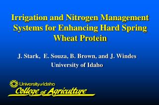 Irrigation and Nitrogen Management Systems for Enhancing Hard Spring Wheat Protein