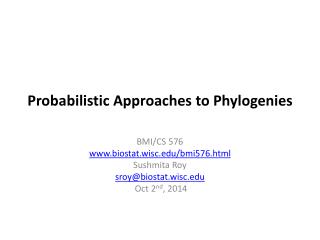 Probabilistic Approaches to Phylogenies