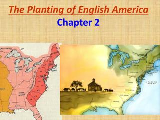 The Planting of English America Chapter 2