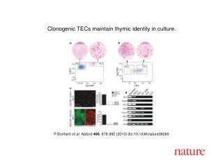 P Bonfanti et al. Nature 466 , 978-982 (2010) doi:10.1038/nature09269