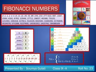 FIBONACCI NUMBERS