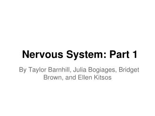 Nervous System: Part 1