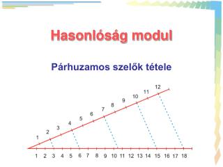 Hasonlóság modul