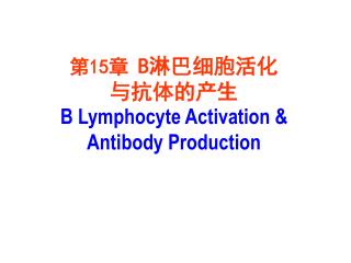 第 15 章 B 淋巴细胞活化 与抗体的产生 B Lymphocyte Activation &amp; Antibody Production