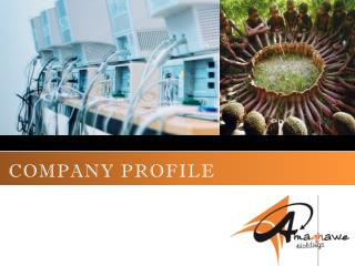 COMPANY PROFILE