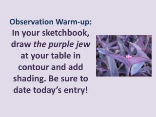 purple jew warm up