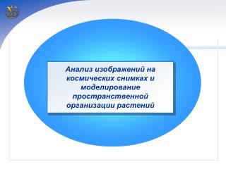 Анализ изображений на космических снимках и моделирование пространственной организации растений