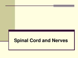 Spinal Cord and Nerves