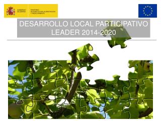 DESARROLLO LOCAL PARTICIPATIVO LEADER 2014-2020