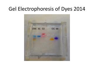 Gel Electrophoresis of Dyes 2014