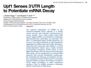 Nonsense-Mediated mRNA Decay (NMD)