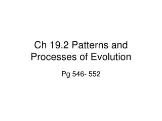 Ch 19.2 Patterns and Processes of Evolution