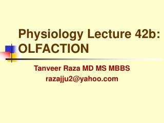 Physiology Lecture 42b: OLFACTION