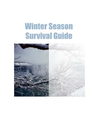 Your Winter Survival Guide