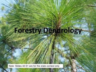 Forestry Dendrology