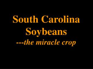 South Carolina Soybeans ---the miracle crop