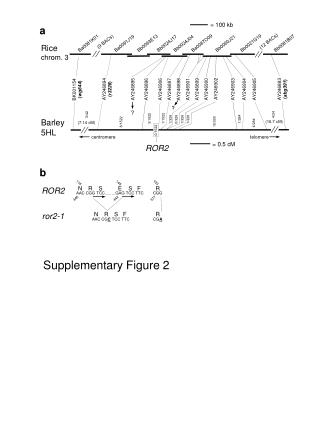 Supplementary Figure 2