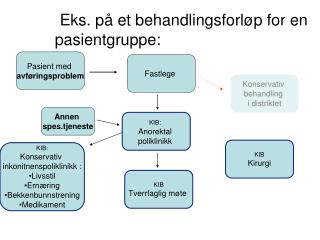 Eks. på et behandlingsforløp for en pasientgruppe: