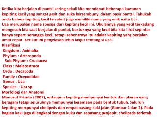 Mengenal Kepiting Kecil yang A BAGUS RIZKI NOVIANTO