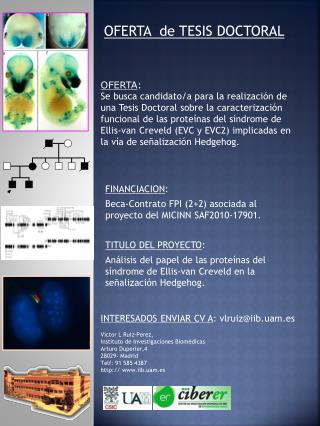 FINANCIACION : Beca-Contrato FPI (2+2) asociada al proyecto del MICINN SAF2010-17901.