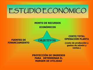 ESTUDIO ECONÓMICO