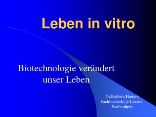 Leben in vitro